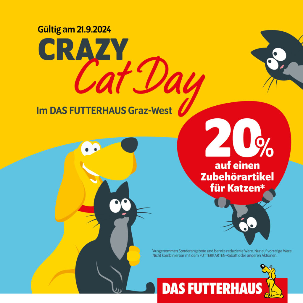 CRAZY CAT DAY & CONTEST 1