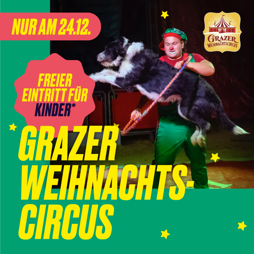 Weihnachtszirkus 8