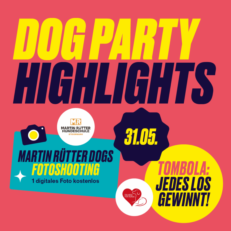 Dog Party 5