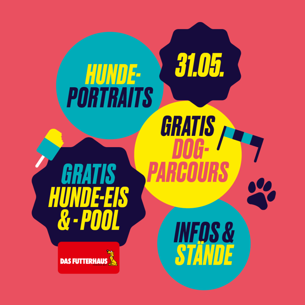 Dog Party 6