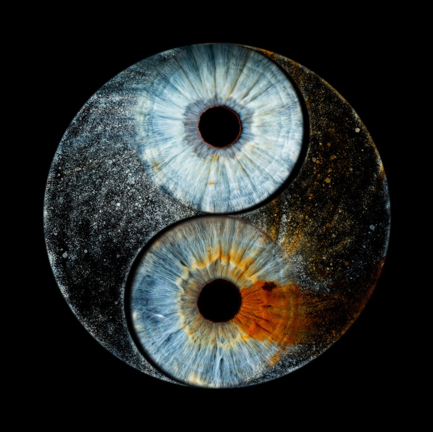 Automatisch gespeicherter Entwurf 348